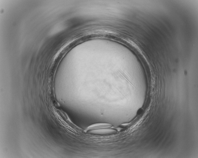 X0000053090783200508081310