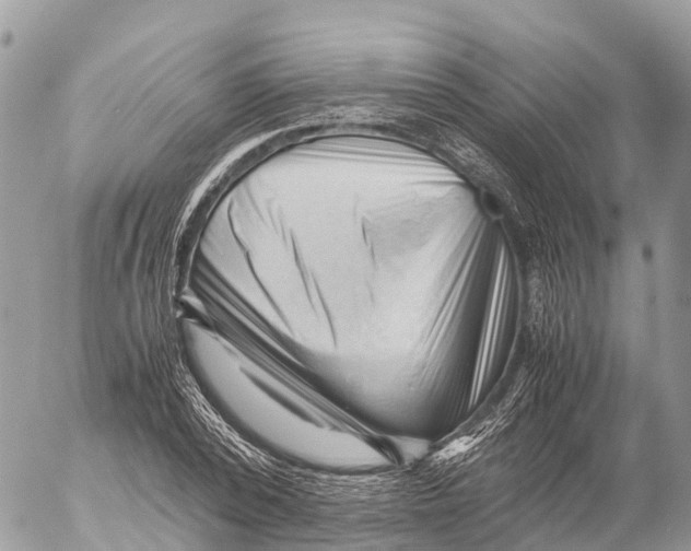 X0000053090784200508081310