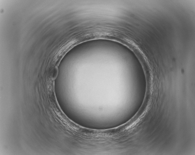 X0000053090785200508081310