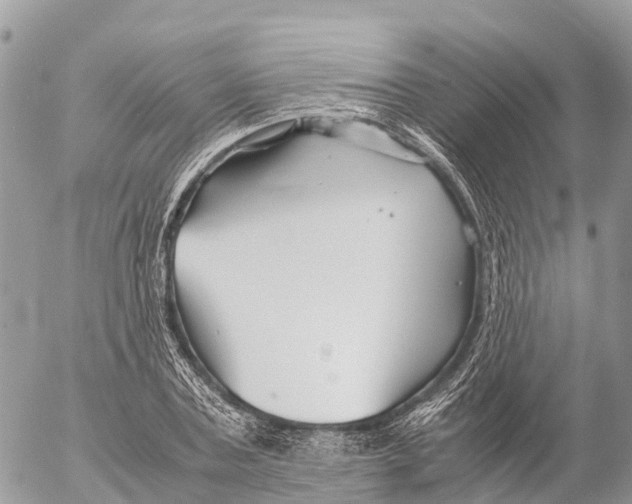 X0000053090787200508081309