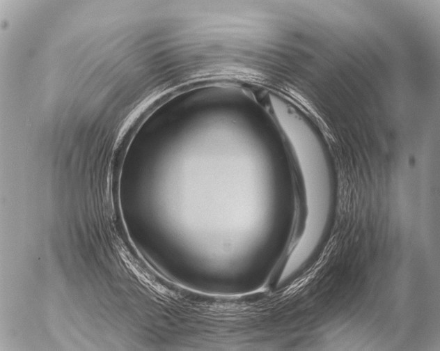 X0000053090788200508081309