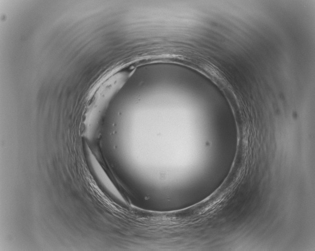 X0000053090789200508081309