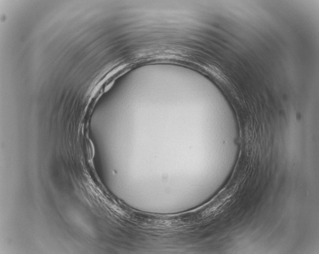 X0000053090790200508081309