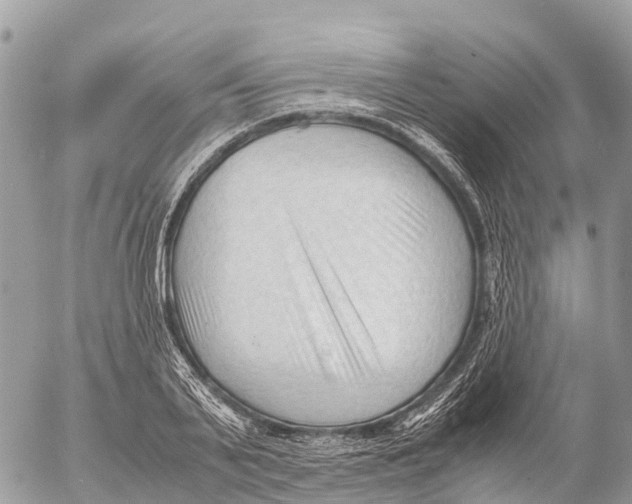 X0000053090791200508081309