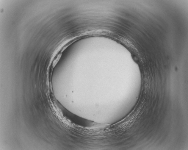 X0000053090792200508081309