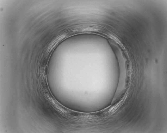 X0000053090793200508081309