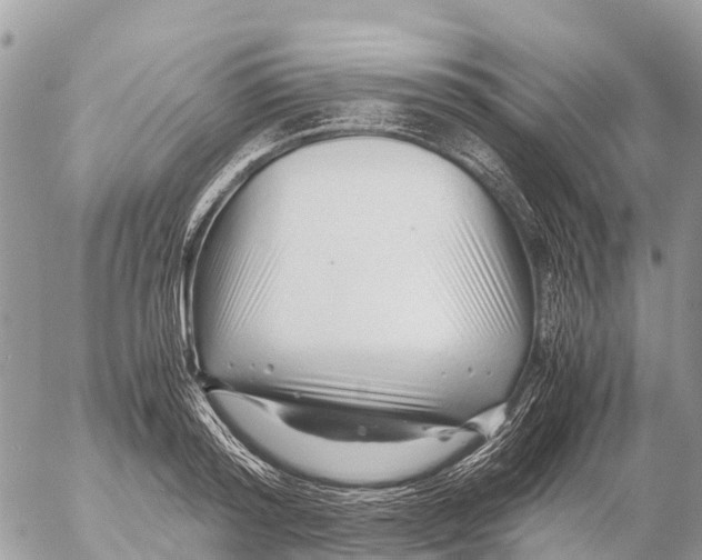 X0000053090796200508081309