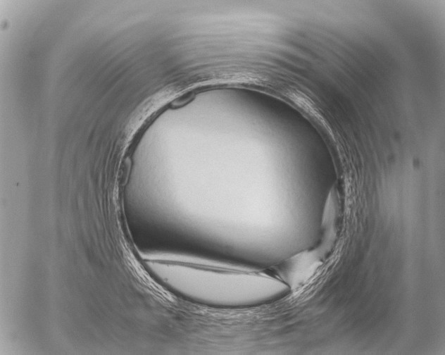 X0000053090797200508081309