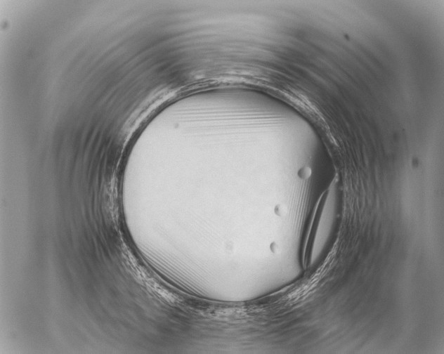 X0000053090798200508081309