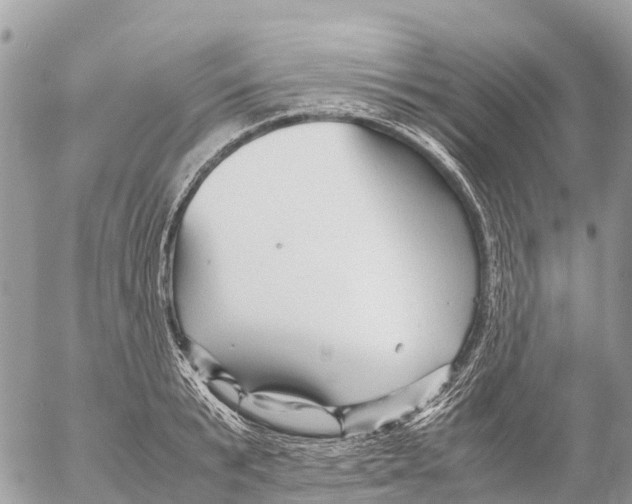 X0000053090799200508081309