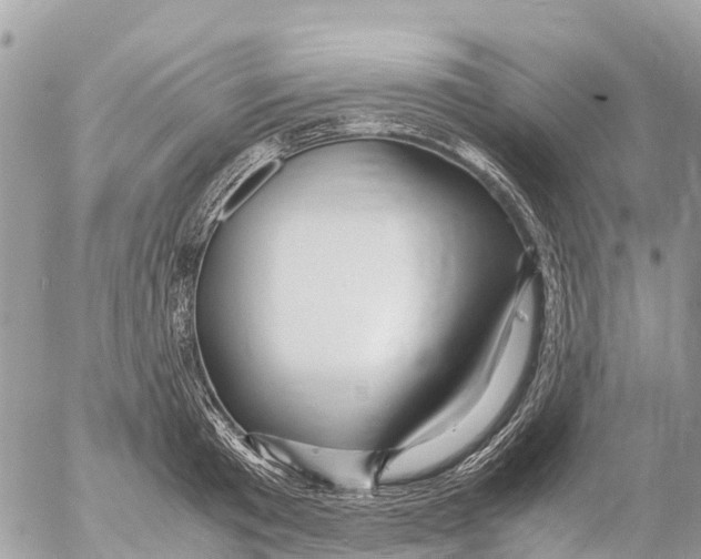 X0000053090801200508081309