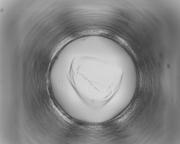 X0000053090802200508081309