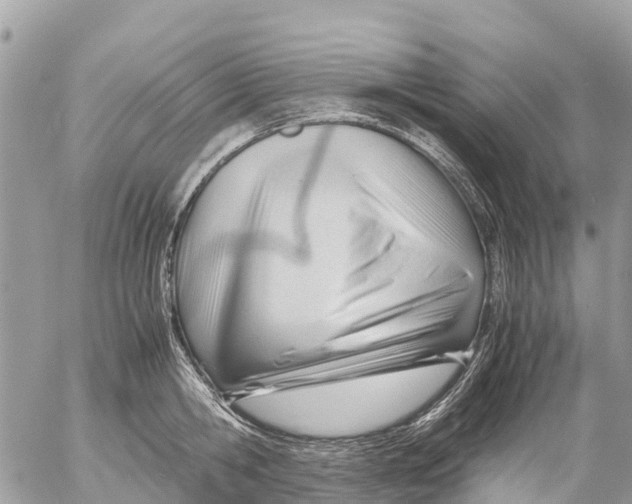 X0000053090806200508081309