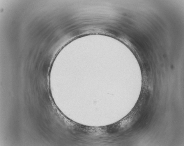 X0000053090807200508081309