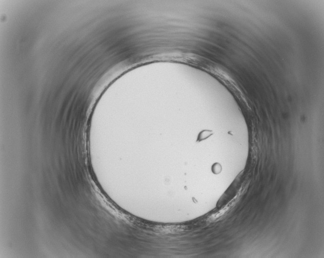 X0000053090808200508081309