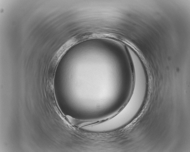 X0000053090809200508081309