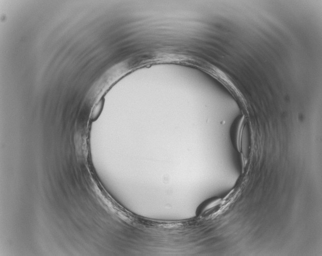 X0000053090810200508081309