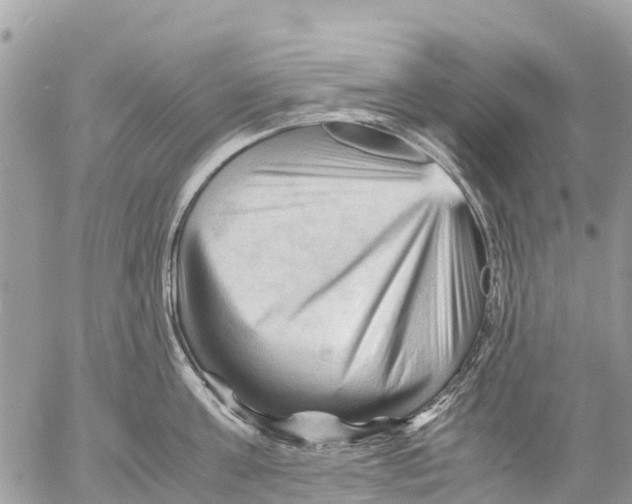 X0000053090811200508081309