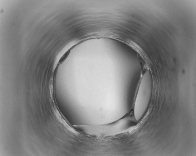 X0000053090812200508081309