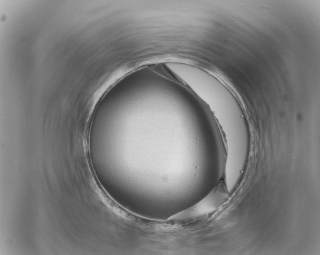 X0000053090813200508081309