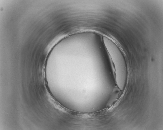 X0000053090814200508081309