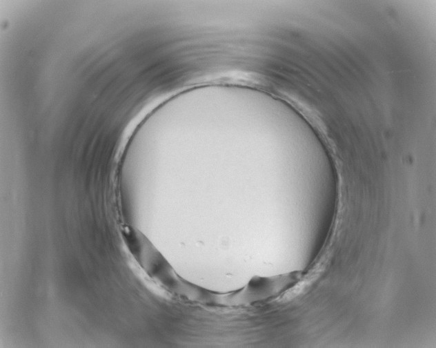 X0000053090816200508081309