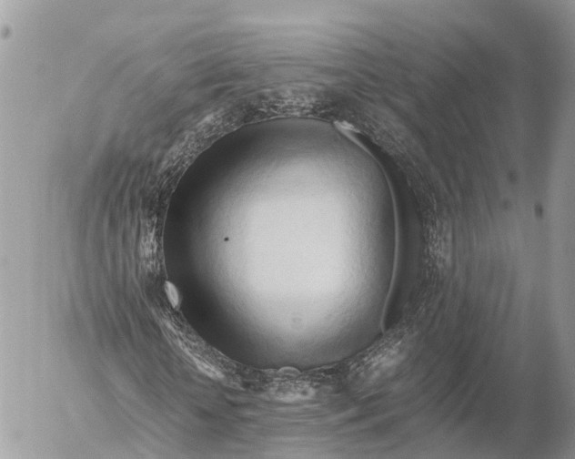 X0000053090818200508081308