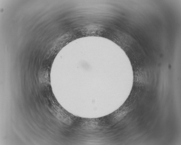 X0000053090820200508081308