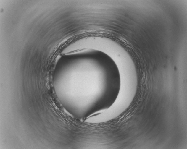 X0000053090822200508081308