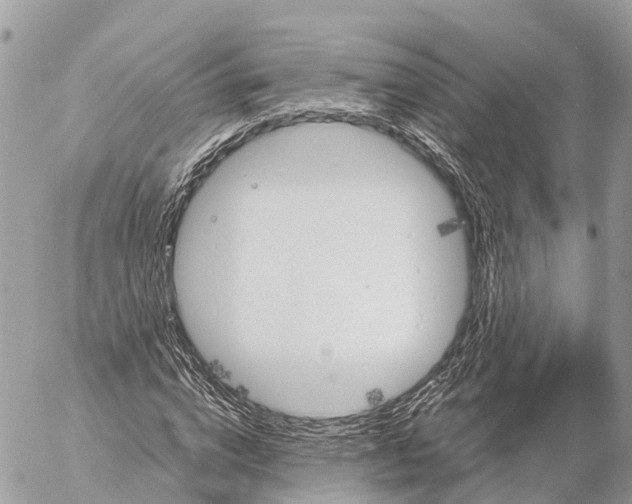 X0000053090824200508081308