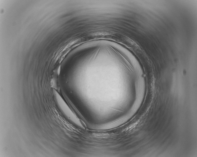 X0000053090825200508081308