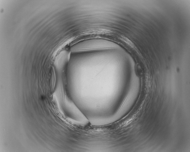 X0000053090826200508081308