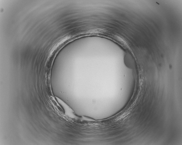 X0000053090827200508081308