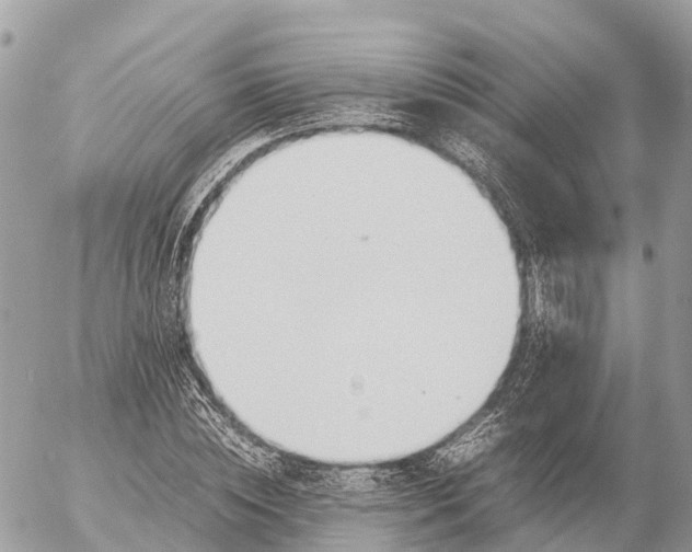 X0000053090828200508081308