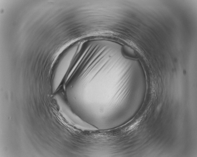 X0000053090830200508081308