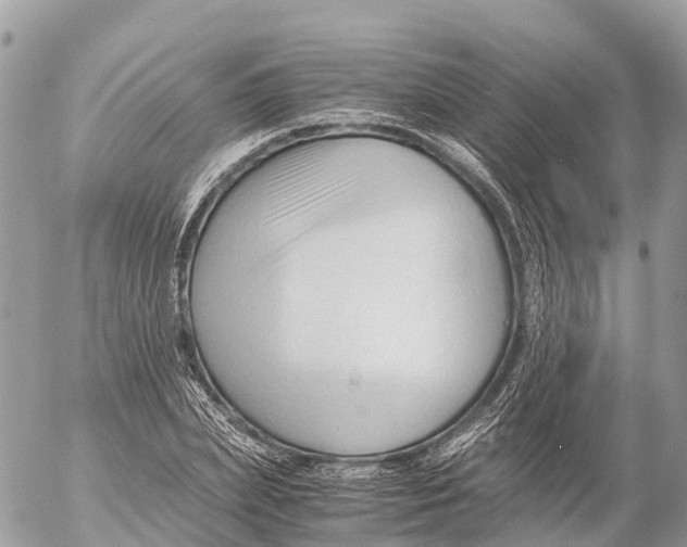 X0000053090831200508081308