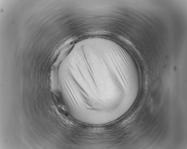 X0000053090833200508081308