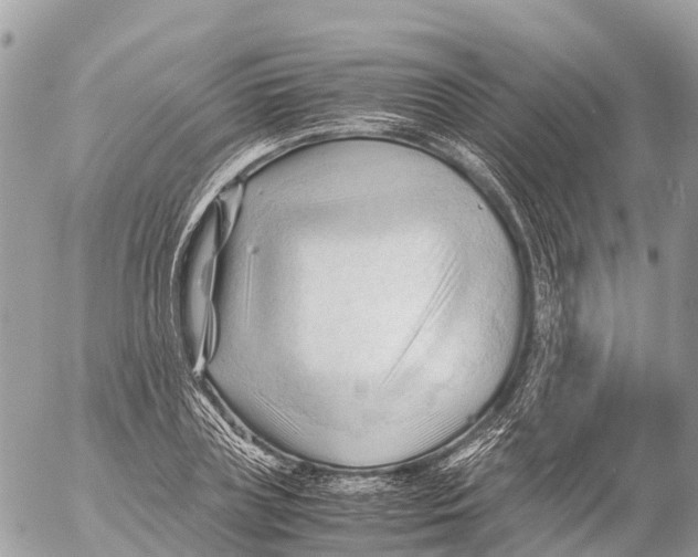 X0000053090835200508081309