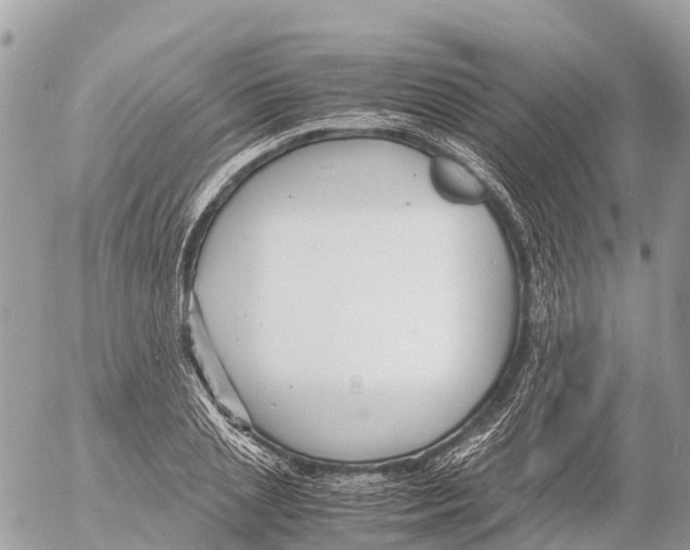 X0000053090837200508081309