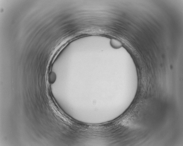 X0000053090840200508081309