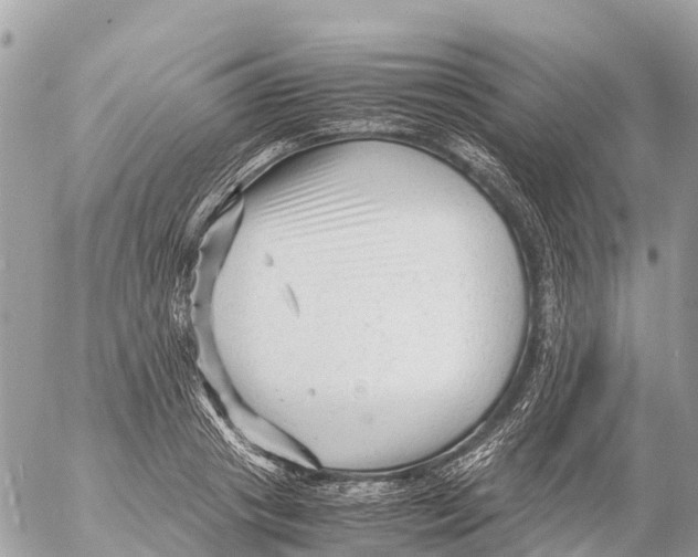 X0000053090841200508081309