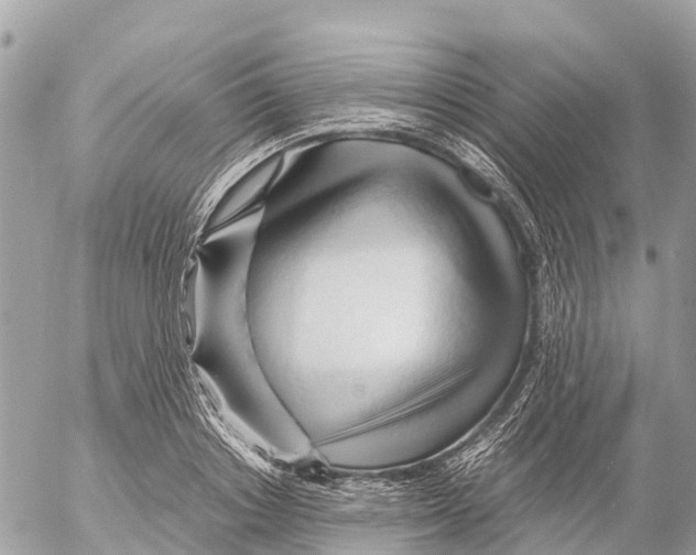 X0000053090842200508081309