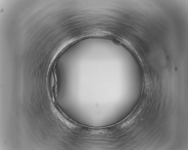 X0000053090843200508081309