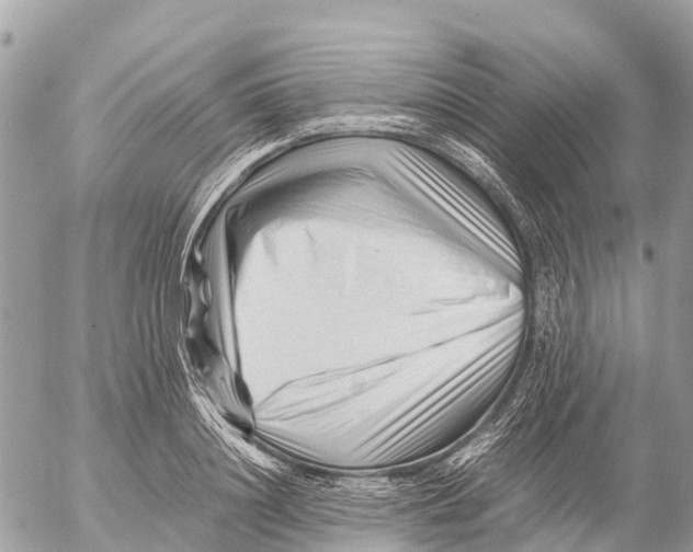 X0000053090844200508081309