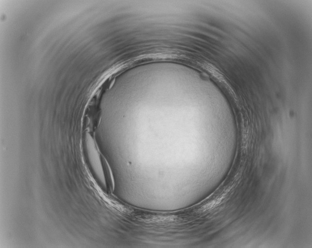 X0000053090845200508081309