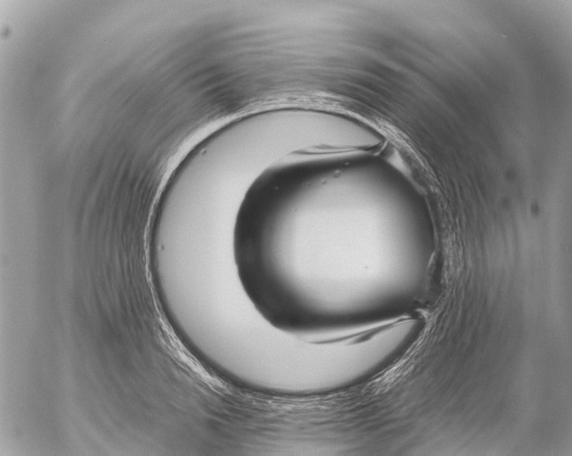 X0000053090846200508081309