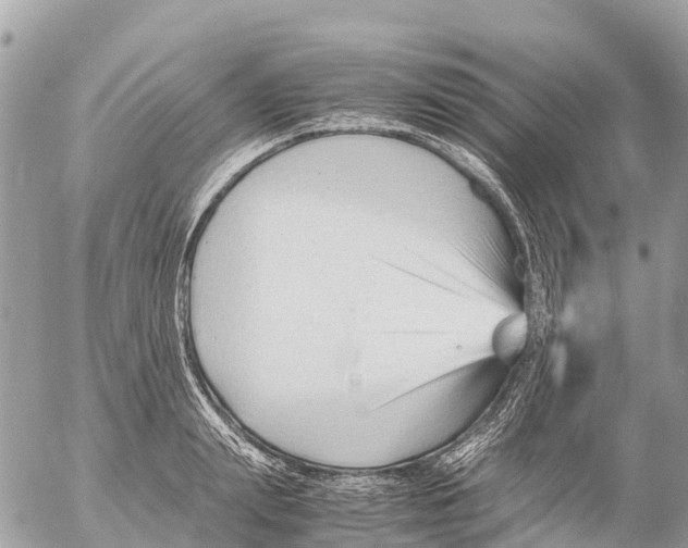 X0000053090847200508081309