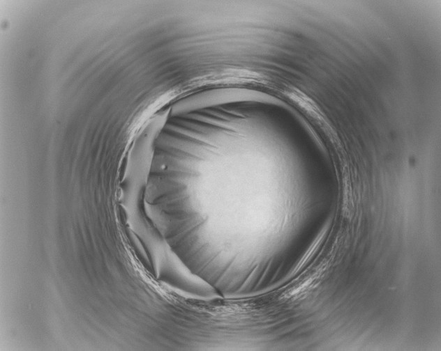 X0000053090850200508081309