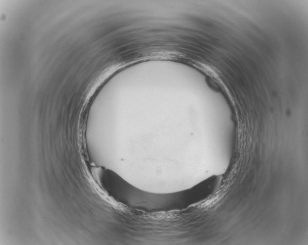 X0000053090851200508081309