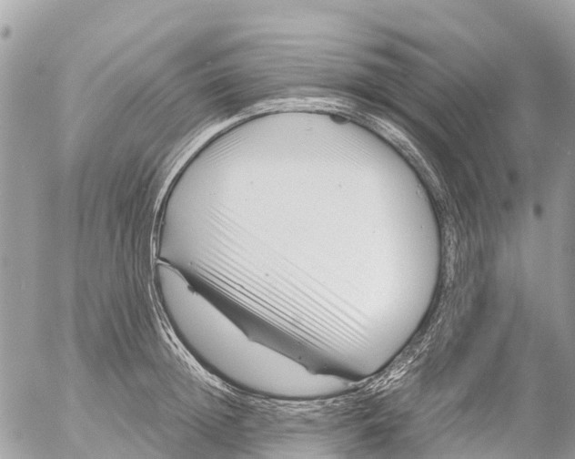 X0000053090852200508081309